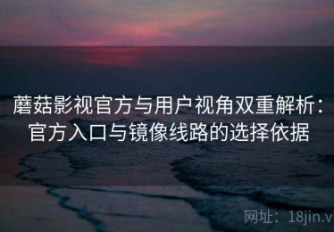 蘑菇影视官方与用户视角双重解析：官方入口与镜像线路的选择依据