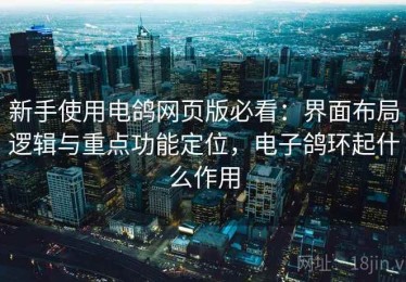 新手使用电鸽网页版必看：界面布局逻辑与重点功能定位，电子鸽环起什么作用