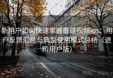 新用户如何快速掌握蘑菇视频ios：用户反馈汇总与典型使用模式总结（进阶用户版）