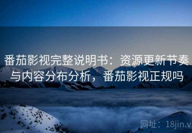 番茄影视完整说明书：资源更新节奏与内容分布分析，番茄影视正规吗