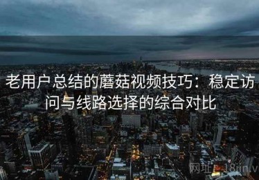 老用户总结的蘑菇视频技巧：稳定访问与线路选择的综合对比