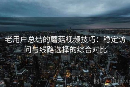 老用户总结的蘑菇视频技巧：稳定访问与线路选择的综合对比
