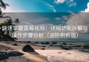 快速掌握蓝莓视频：详细功能拆解与操作步骤分析（进阶剖析版）