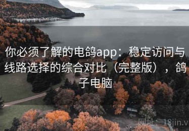你必须了解的电鸽app：稳定访问与线路选择的综合对比（完整版），鸽子电脑