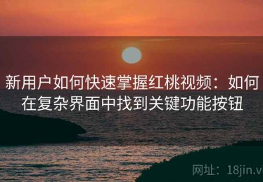 新用户如何快速掌握红桃视频：如何在复杂界面中找到关键功能按钮