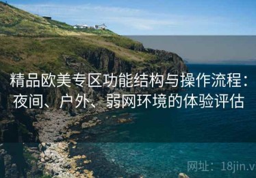 精品欧美专区功能结构与操作流程：夜间、户外、弱网环境的体验评估