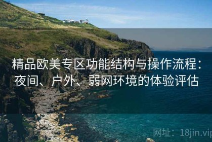 精品欧美专区功能结构与操作流程：夜间、户外、弱网环境的体验评估