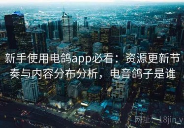新手使用电鸽app必看：资源更新节奏与内容分布分析，电音鸽子是谁
