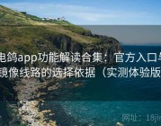 电鸽app功能解读合集：官方入口与镜像线路的选择依据（实测体验版）
