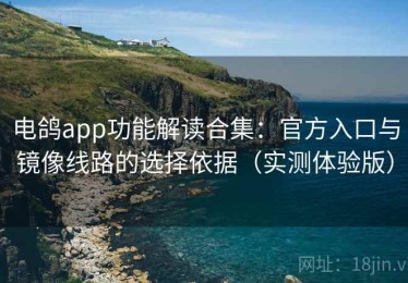 电鸽app功能解读合集：官方入口与镜像线路的选择依据（实测体验版）