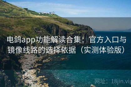 电鸽app功能解读合集：官方入口与镜像线路的选择依据（实测体验版）