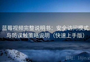 蓝莓视频完整说明书：安全访问模式与防误触策略说明（快速上手版）