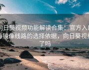 向日葵视频功能解读合集：官方入口与镜像线路的选择依据，向日葵视频了吗
