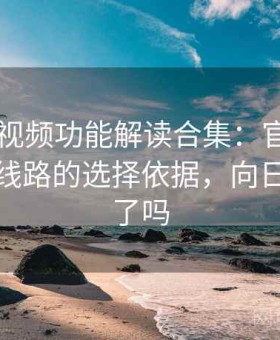 向日葵视频功能解读合集：官方入口与镜像线路的选择依据，向日葵视频了吗