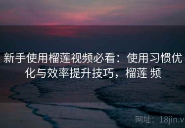 新手使用榴莲视频必看：使用习惯优化与效率提升技巧，榴莲 频
