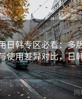 新手使用日韩专区必看：多版本适配情况与使用差异对比，日韩新款