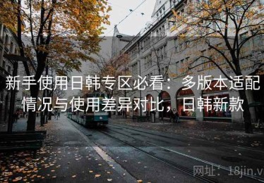 新手使用日韩专区必看：多版本适配情况与使用差异对比，日韩新款