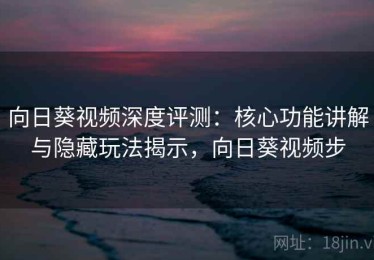 向日葵视频深度评测：核心功能讲解与隐藏玩法揭示，向日葵视频步