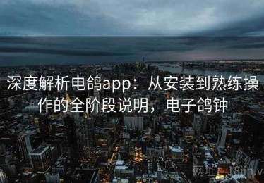 深度解析电鸽app：从安装到熟练操作的全阶段说明，电子鸽钟
