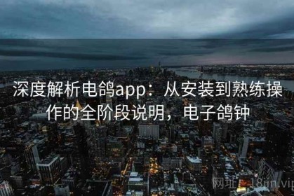 深度解析电鸽app：从安装到熟练操作的全阶段说明，电子鸽钟