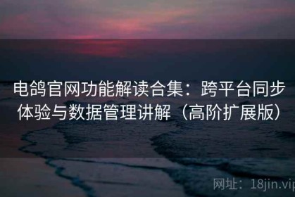 电鸽官网功能解读合集：跨平台同步体验与数据管理讲解（高阶扩展版）