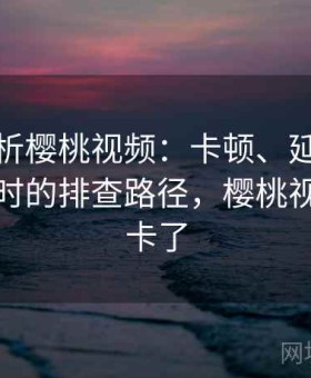 深度解析樱桃视频：卡顿、延迟、无法访问时的排查路径，樱桃视频怎么卡了