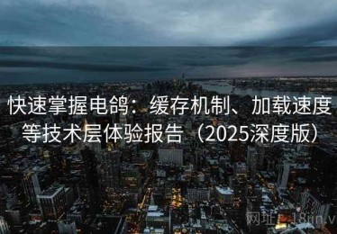 快速掌握电鸽：缓存机制、加载速度等技术层体验报告（2025深度版）