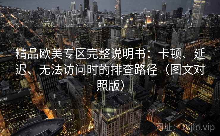 精品欧美专区完整说明书：卡顿、延迟、无法访问时的排查路径（图文对照版）