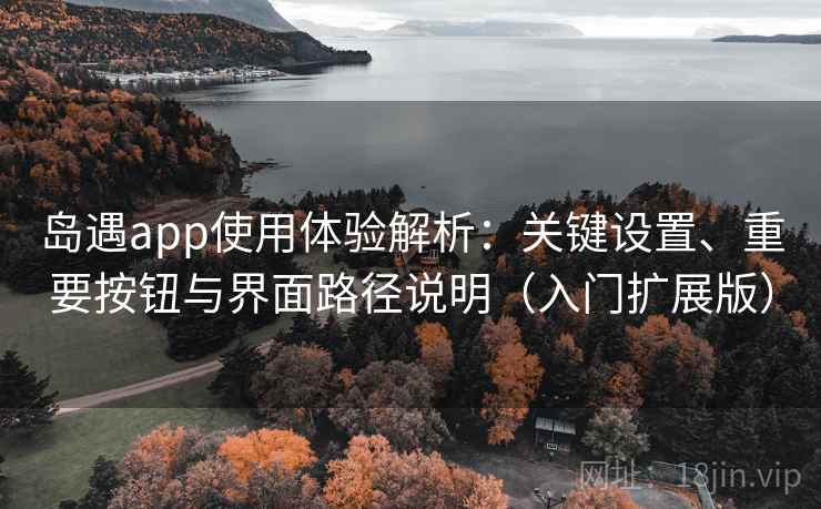岛遇app使用体验解析：关键设置、重要按钮与界面路径说明（入门扩展版）