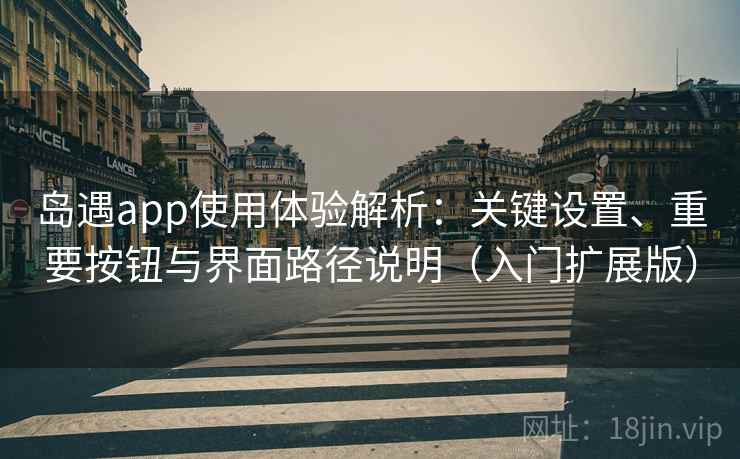 岛遇app使用体验解析：关键设置、重要按钮与界面路径说明（入门扩展版）