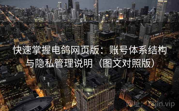 快速掌握电鸽网页版：账号体系结构与隐私管理说明（图文对照版）