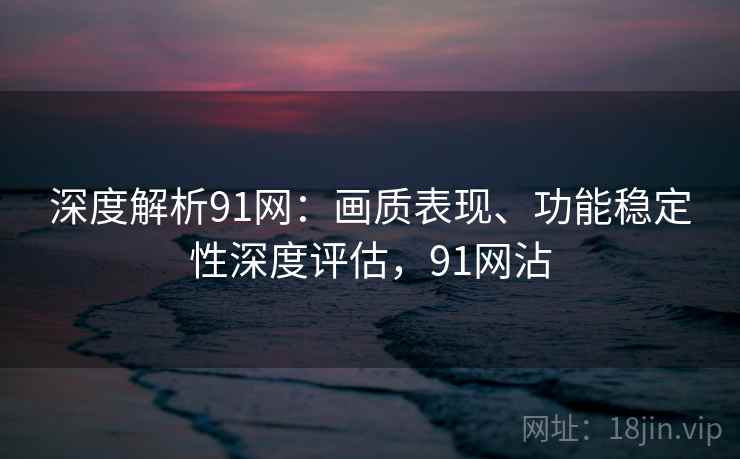 深度解析91网：画质表现、功能稳定性深度评估，91网沾