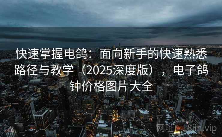 快速掌握电鸽:面向新手的快速熟悉路径与教学(2025深度版),电子鸽钟价格图片大全 快速掌握电鸽:面向新手的快速熟悉路径与教学(2025深度版),电子鸽钟价格图片大全