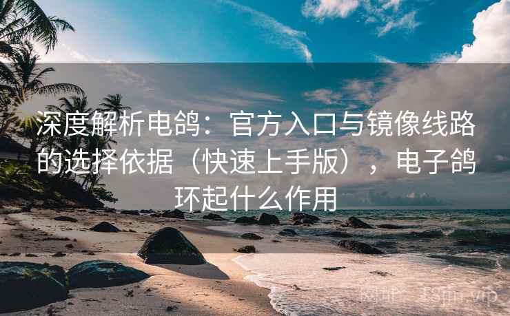 深度解析电鸽：官方入口与镜像线路的选择依据（快速上手版），电子鸽环起什么作用