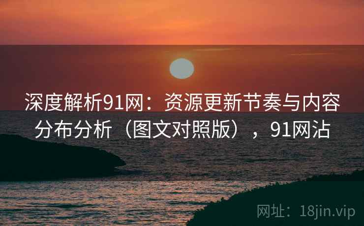 深度解析91网：资源更新节奏与内容分布分析（图文对照版），91网沾
