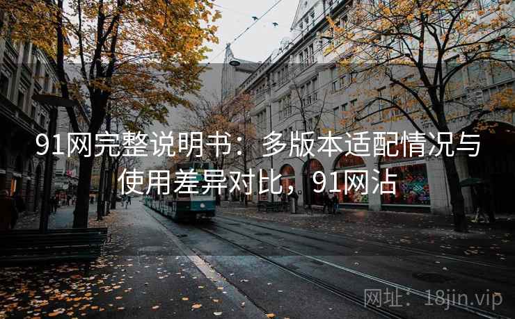 91网完整说明书：多版本适配情况与使用差异对比，91网沾