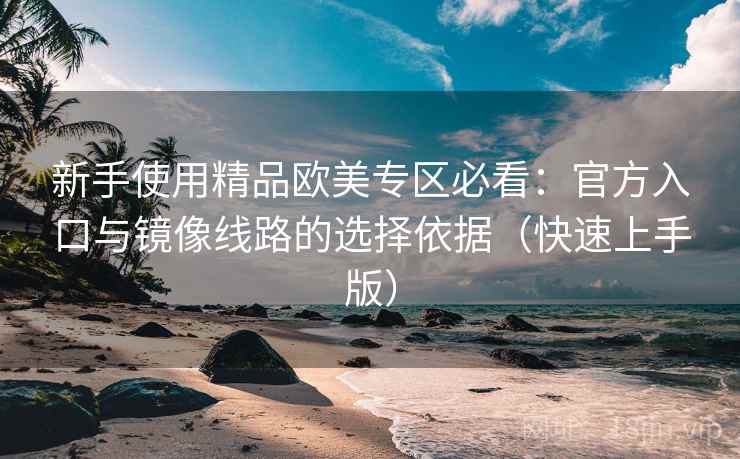 新手使用精品欧美专区必看：官方入口与镜像线路的选择依据（快速上手版）