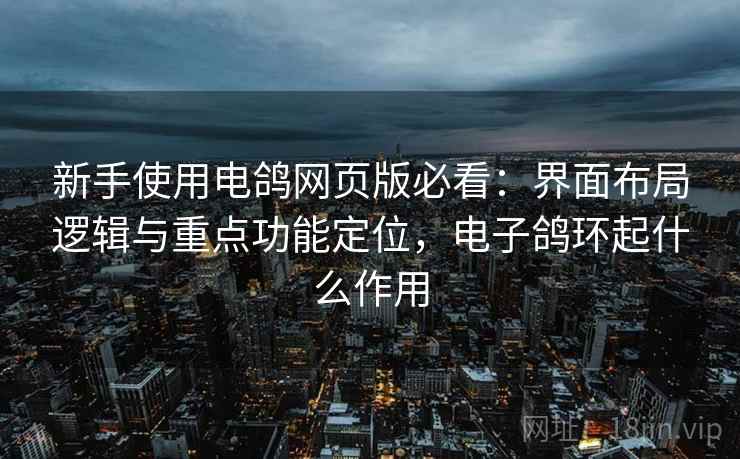 新手使用电鸽网页版必看：界面布局逻辑与重点功能定位，电子鸽环起什么作用