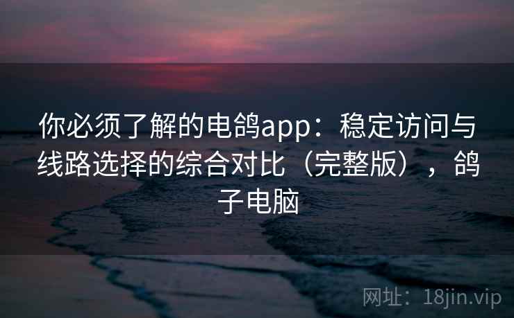 你必须了解的电鸽app：稳定访问与线路选择的综合对比（完整版），鸽子电脑