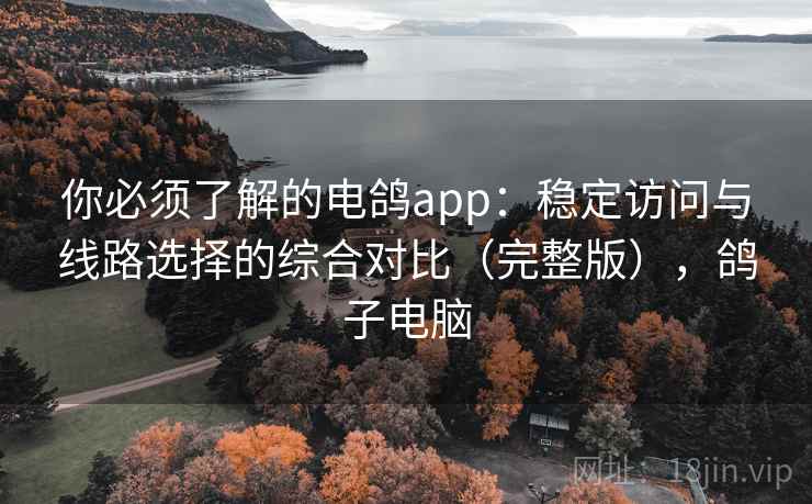 你必须了解的电鸽app：稳定访问与线路选择的综合对比（完整版），鸽子电脑