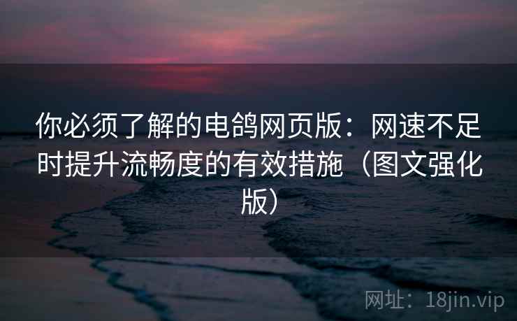 你必须了解的电鸽网页版：网速不足时提升流畅度的有效措施（图文强化版）