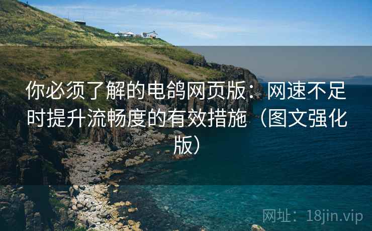 你必须了解的电鸽网页版：网速不足时提升流畅度的有效措施（图文强化版）