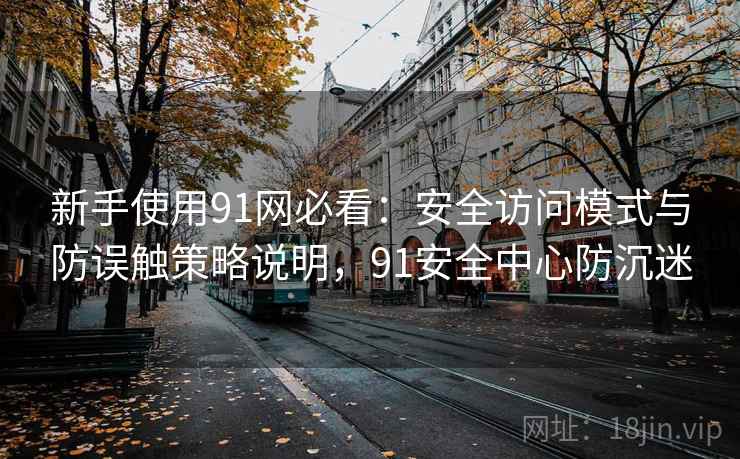 新手使用91网必看：安全访问模式与防误触策略说明，91安全中心防沉迷