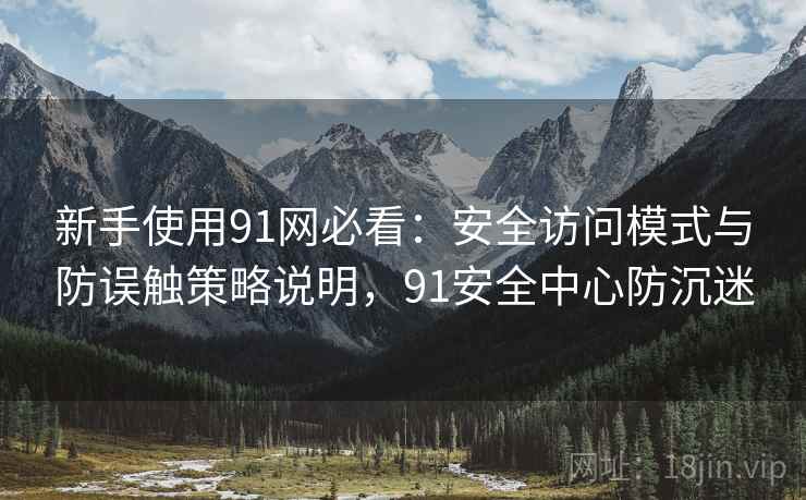 新手使用91网必看：安全访问模式与防误触策略说明，91安全中心防沉迷