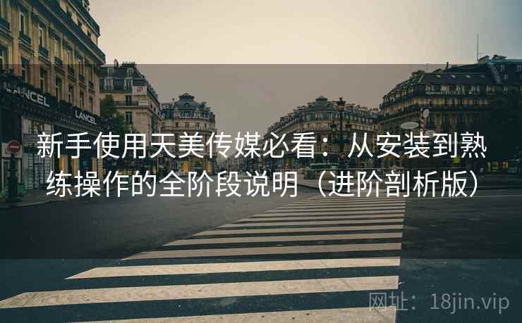 新手使用天美传媒必看：从安装到熟练操作的全阶段说明（进阶剖析版）