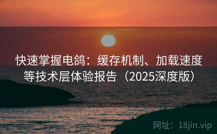 快速掌握电鸽：缓存机制、加载速度等技术层体验报告（2025深度版）