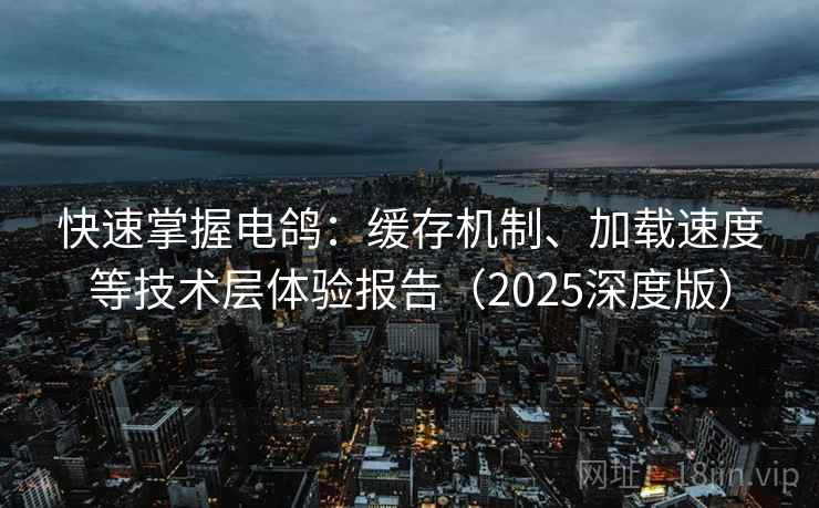 快速掌握电鸽：缓存机制、加载速度等技术层体验报告（2025深度版）