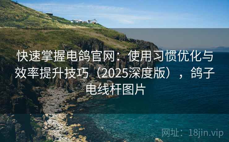 快速掌握电鸽官网：使用习惯优化与效率提升技巧（2025深度版），鸽子电线杆图片
