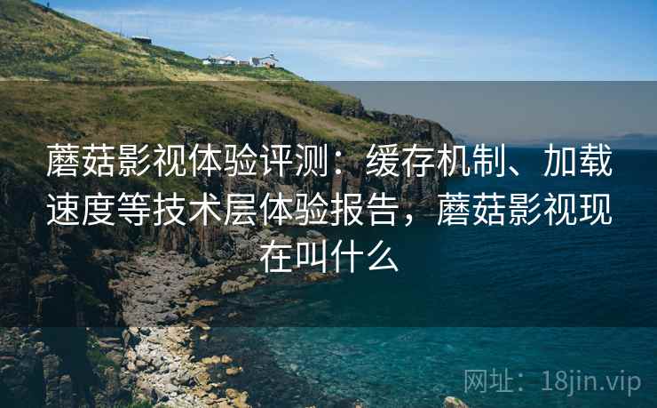 蘑菇影视体验评测:缓存机制、加载速度等技术层体验报告,蘑菇影视现在叫什么 蘑菇影视体验评测:缓存机制、加载速度等技术层体验报告,蘑菇影视现在叫什么